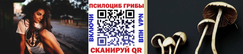 Галлюциногенные грибы прущие грибы  Лаишево 